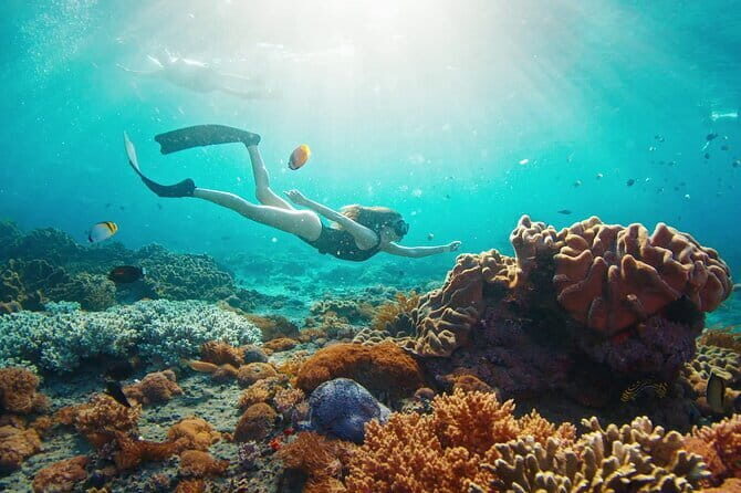 East Coast of Nusa Penida Private Snorkeling - Key Points