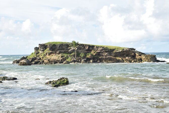 east-coast-private-tour-of-barbados