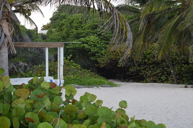 east-coast-private-tour-of-barbados