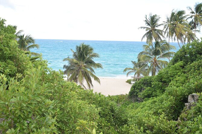 east-coast-private-tour-of-barbados
