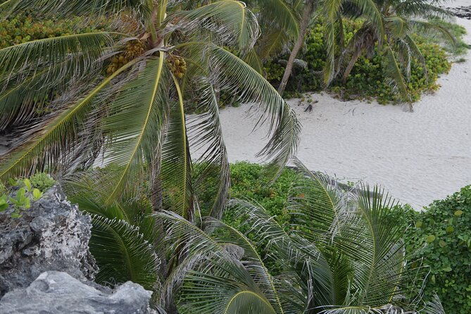 east-coast-private-tour-of-barbados