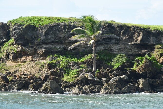 east-coast-private-tour-of-barbados