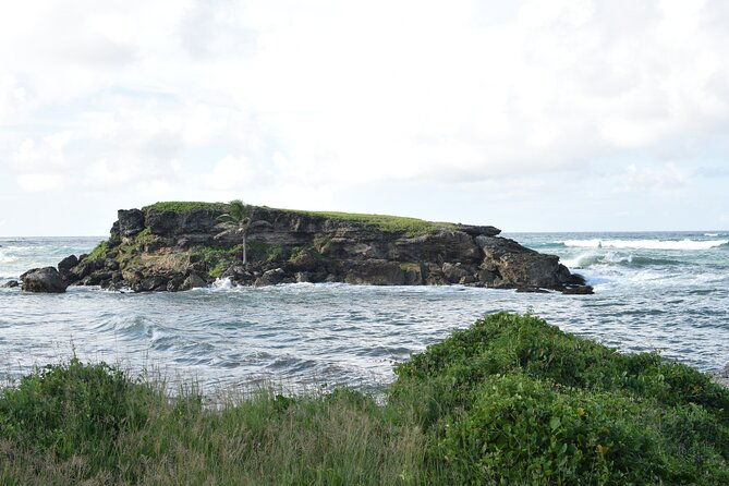 east-coast-private-tour-of-barbados