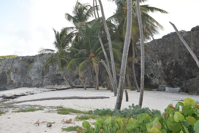 east-coast-private-tour-of-barbados