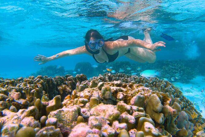 East Lombok Secred Gilis (Gili Kondo, Gili Bidara, Gili Petagan, Gili kapal) - Final Thoughts