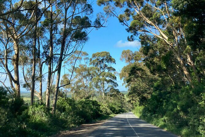 East London Airport Private Shuttle to Chintsa - Key Points