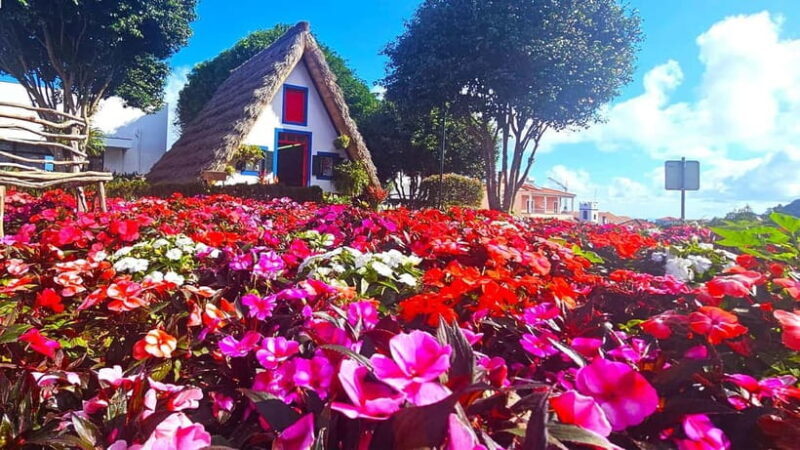 East Madeira: Private Tour with Views & History - What’s not included, and what to bring