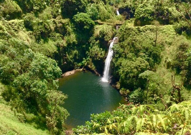 east-maui-private-rainforest-or-road-to-hana-loop-tour