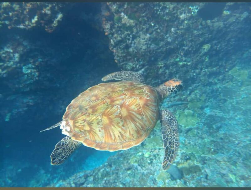 East Nusa Penida Tour & Traditional Cepuk Weaving Experience - Key Points