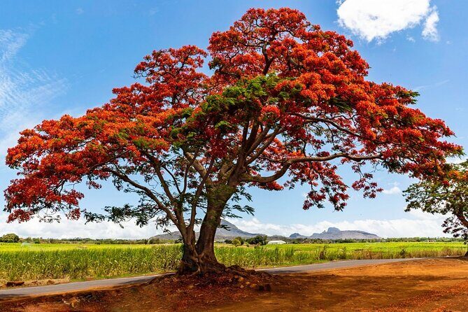 East of Mauritius: Full Day Scenic Tour with Lunch & Glass Bottom - FAQs