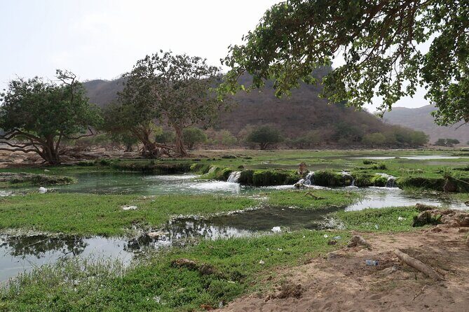 East of Salalah, Mountain Safari, Camels, Waterfall, White beach - Final Thoughts