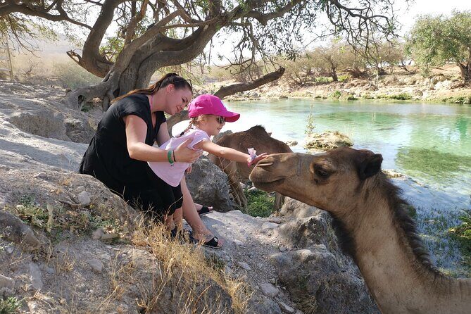 East of Salalah - natural beauty and historical heritage - An In-Depth Look at the Tours Highlights
