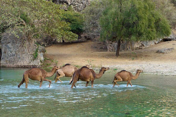 East of Salalah - natural beauty and historical heritage - The Sum Up