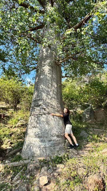East Salalah Adventure: Nature, History, and Scenic Views - Key Points