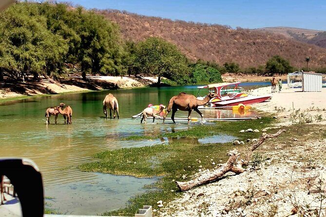 East Salalah Private Tour by VisitSalalah - The Sum Up