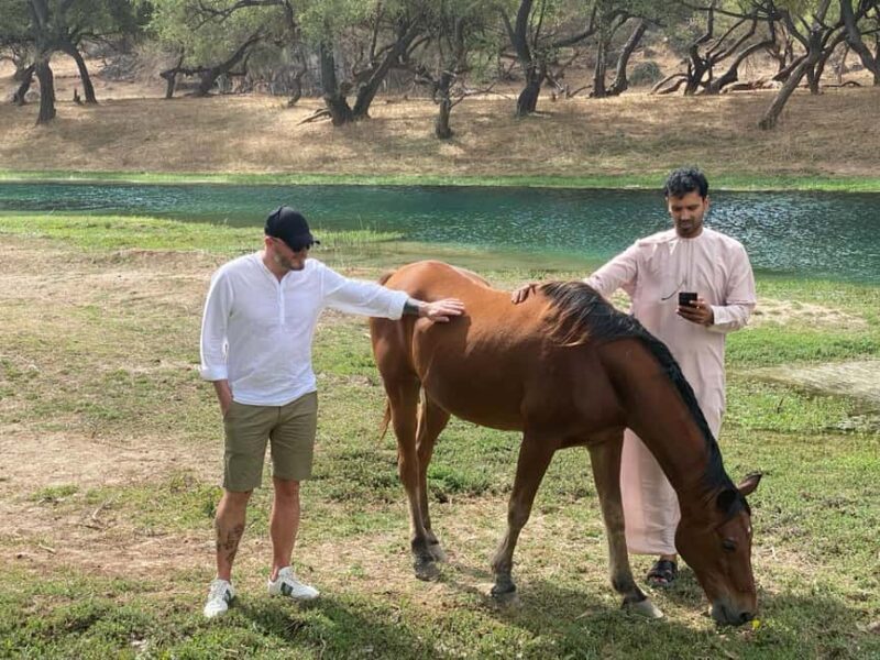 East Salalah Tour by VisitSalalah - Final Verdict
