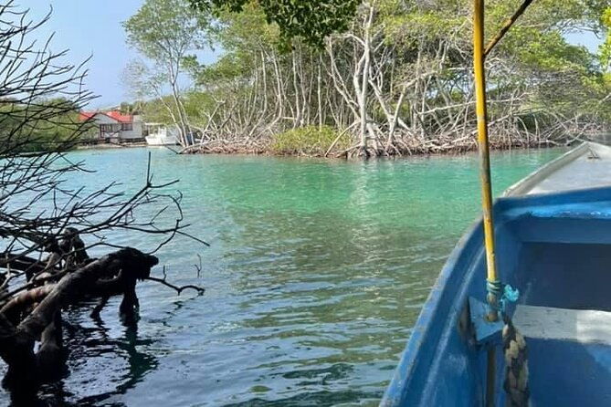 east-side-mangrove-tunnel-wildlife-encounter