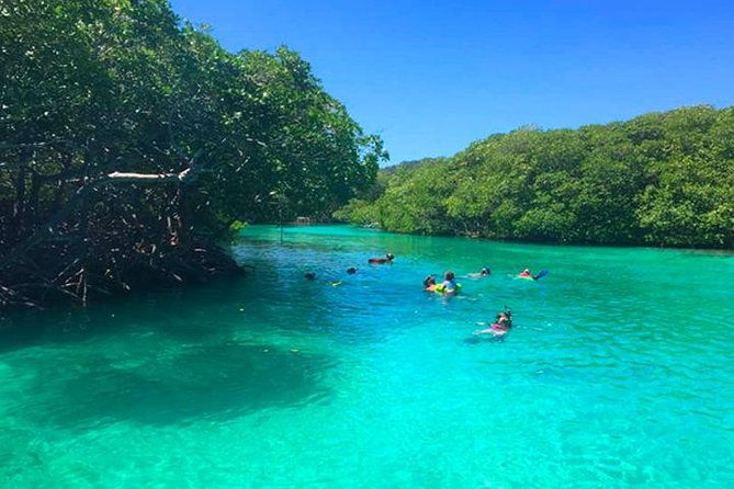 east-sightseeing-mangrove-tunnel-snorkel-hole-in-the-wall-with-transfer