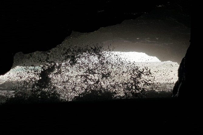 east-to-west-island-tour-experience