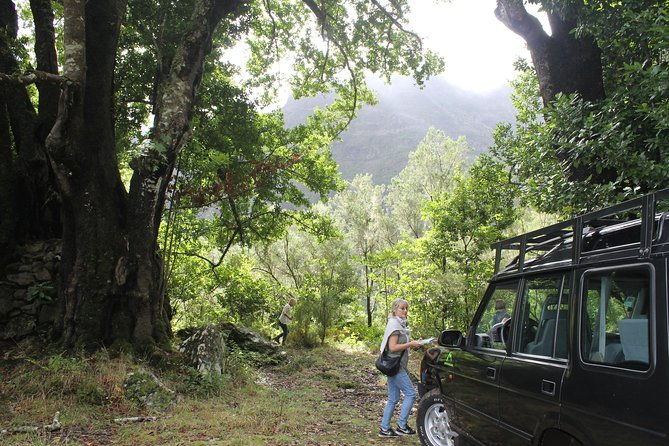 east-tour-4x4-small-group-2