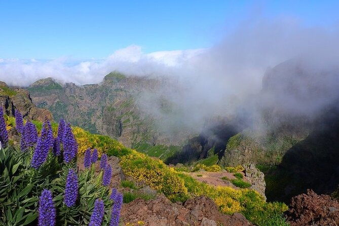 east-tour-4x4-small-group