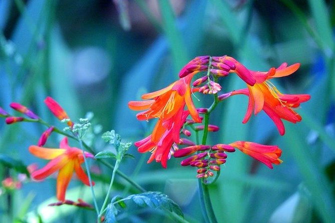 east-tour-4x4-small-group