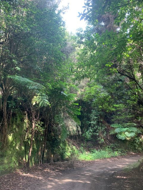 east-tour-classic-jeep-tour-to-east-madeira-santana