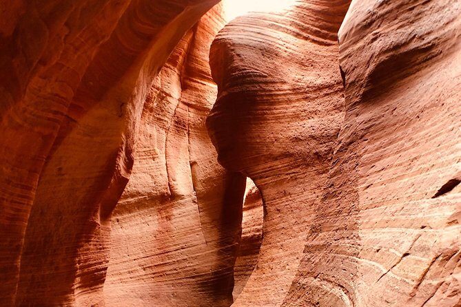 East Zion 2.5 Hour Slot Canyon Canyoneering UTV Tour - The Sum Up