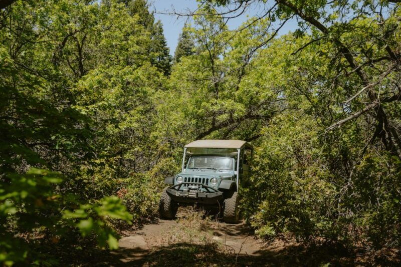 east-zion-brushy-cove-jeep-adventure