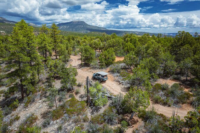 East Zion East Rim Jeep Tour - Who Is This Tour Best For?