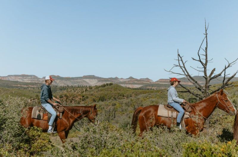 east-zion-pine-knoll-horseback-tour