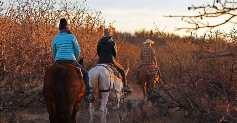 east-zion-pine-knoll-horseback-tour