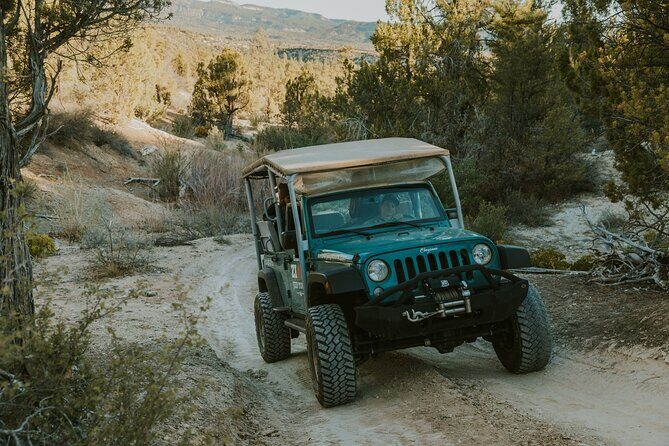 East Zion Top of the World Jeep Tour - Who Should Consider This Tour?