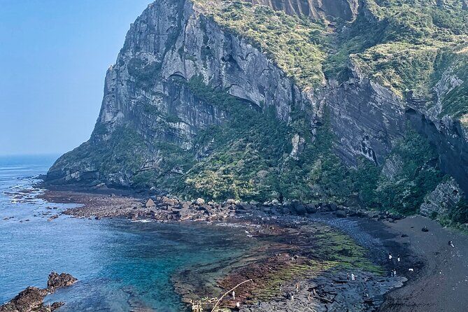 Eastern Jeju: All Inclusive Private Tour w/ Tangerine picking - Real Traveler Insights and What Makes This Tour Shine