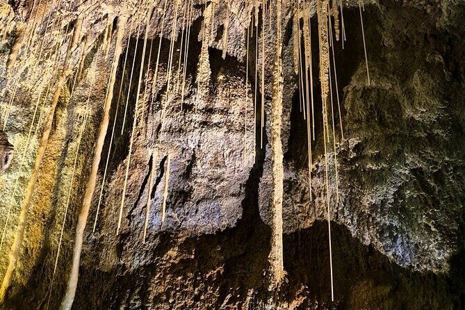 Eastern Jeju: All Inclusive Private Tour w/ Tangerine picking - FAQs