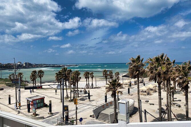 Eastern Jeju: All Inclusive Private Tour w/ Tangerine picking - Final Thoughts