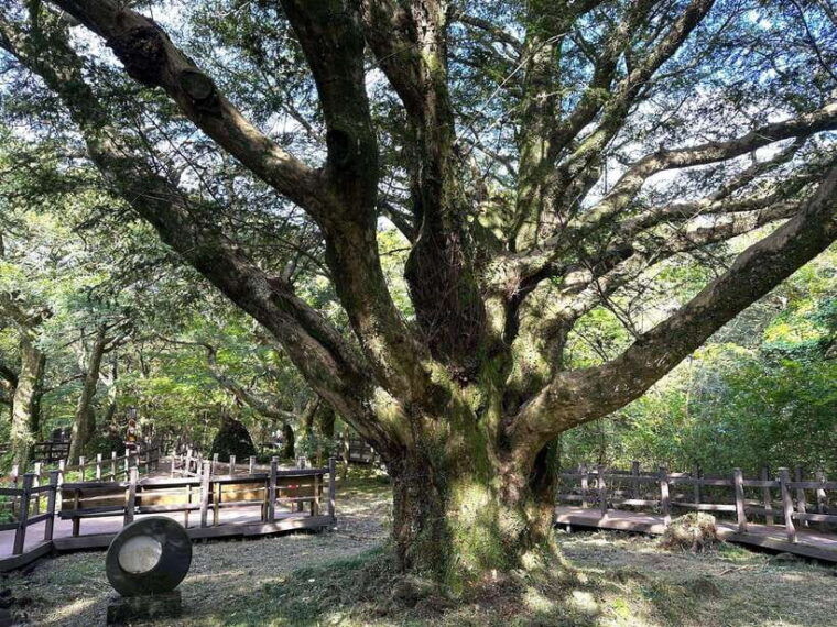 eastern-jeju-healing-unesco-small-group-day-tour