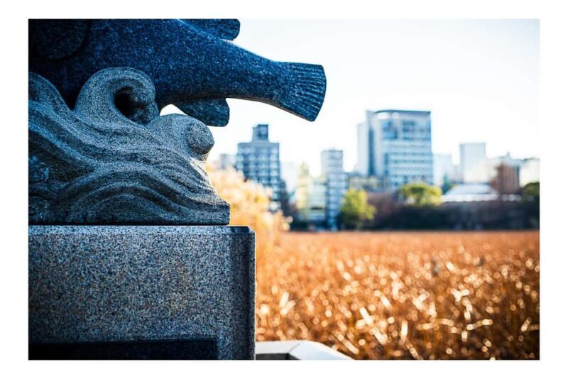 Eastern Tokyo "Shitamachi": Urban Photography Adventure - Final Thoughts