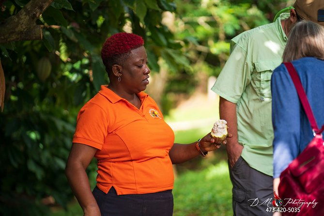 eastern-tours-mt-carmel-falls-laura-spice-tour-clarkes-court-distillery