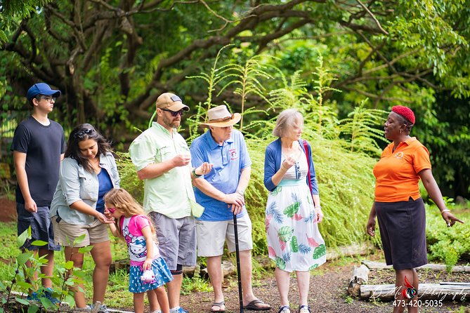 eastern-tours-mt-carmel-falls-laura-spice-tour-clarkes-court-distillery