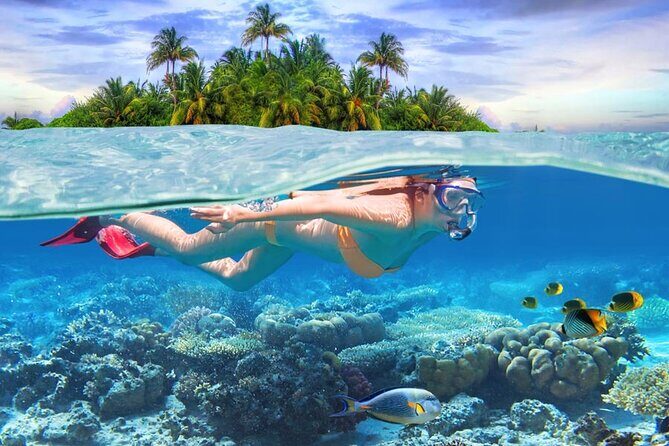 Eastern Treasures of Mauritius: incl Rhumerie St Aubin & Blue-Bay Marine Park - The Balance of Activities
