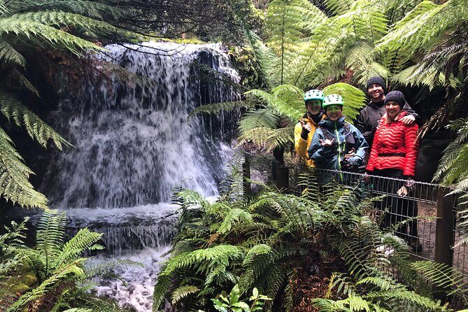 Easy Bike Tour - Mt Wellington Summit Descent & Rainforest Ride - Introduction