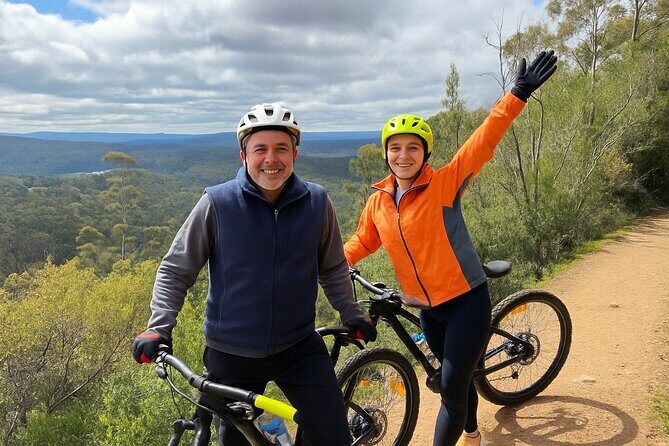 Easy Bike Tour - Mt Wellington Summit Descent & Rainforest Ride - Overview of the Experience