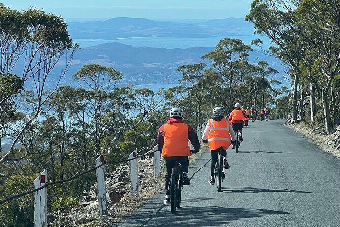 Easy Bike Tour - Mt Wellington Summit Descent & Rainforest Ride - The Rainforest Ride