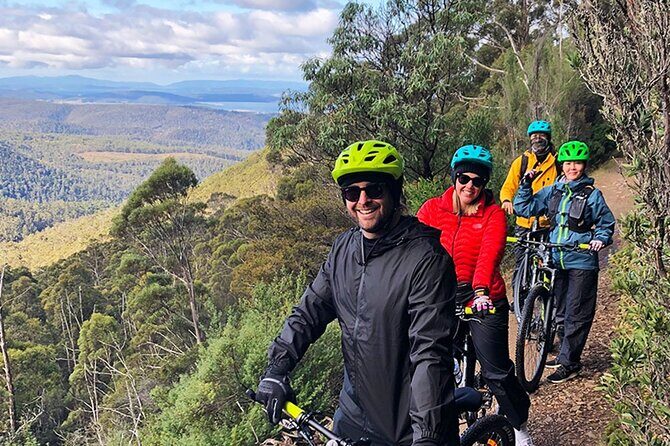 Easy Bike Tour - Mt Wellington Summit Descent & Rainforest Ride - Practical Details and Value
