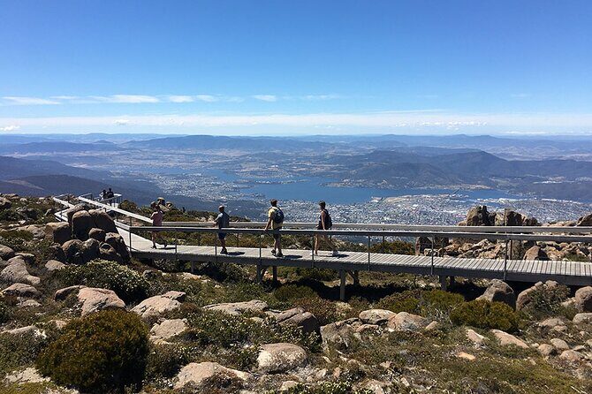 Easy Bike Tour - Mt Wellington Summit Descent & Rainforest Ride - Weather and Packing Tips