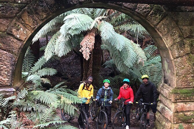Easy Bike Tour - Mt Wellington Summit Descent & Rainforest Ride - Guides and Support