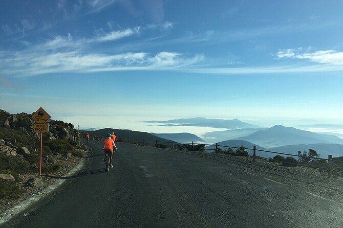 Easy Bike Tour - Mt Wellington Summit Descent & Rainforest Ride - Who Would Love This Tour?