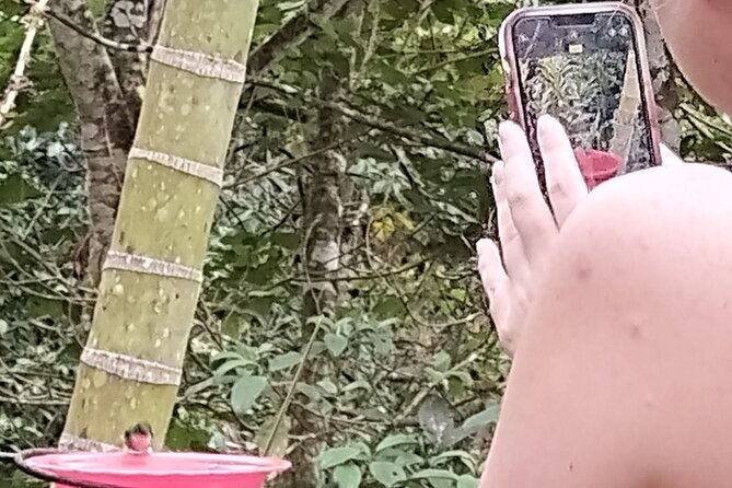 easy-birdwatching-in-cali-colombia-4-hours