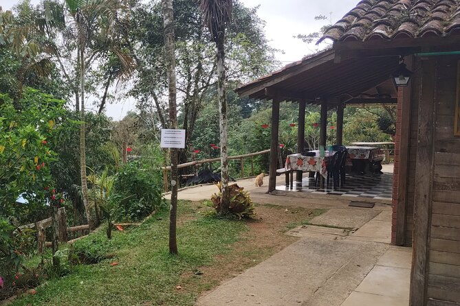 easy-birdwatching-in-cali-colombia-4-hours
